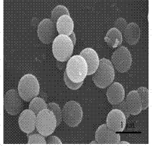 Catalyst for preparing C2-oxygenates through hydrogenation of carbon monoxide as well as preparation method and application thereof