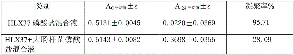 Functional bee pollen and preparation method thereof