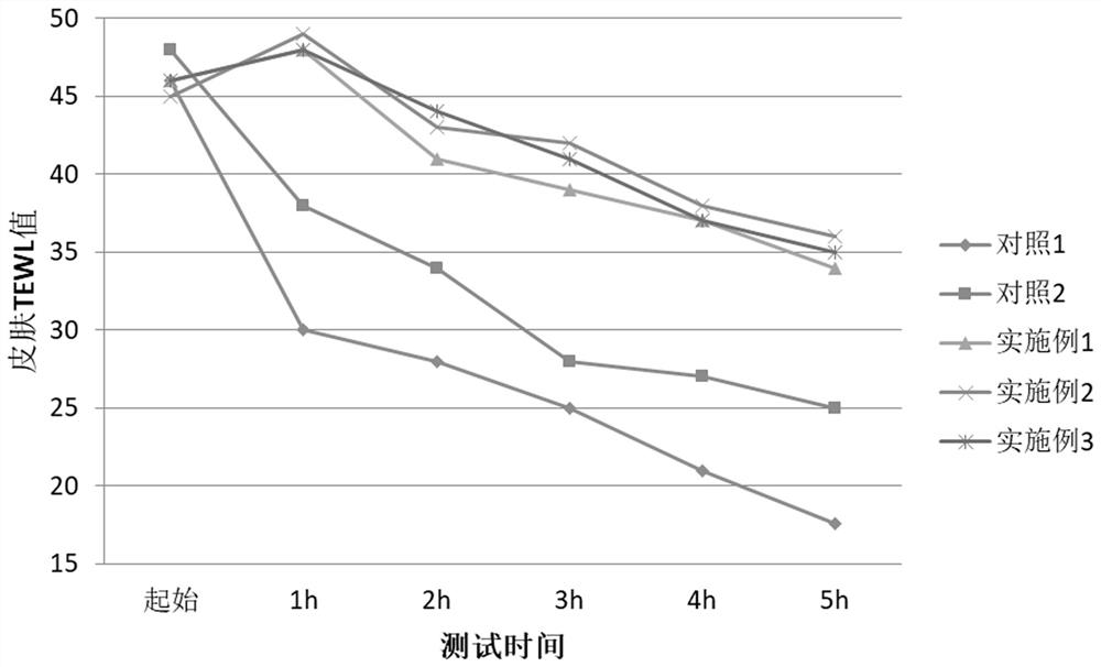 Antipollution skincare composition and preparation method therefor