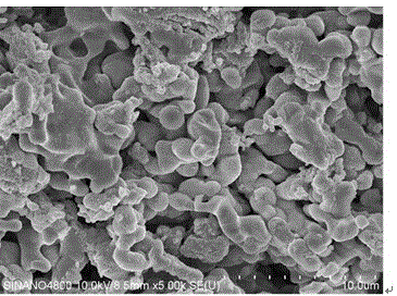 Molybdate-based red fluorescent powder and preparation method thereof