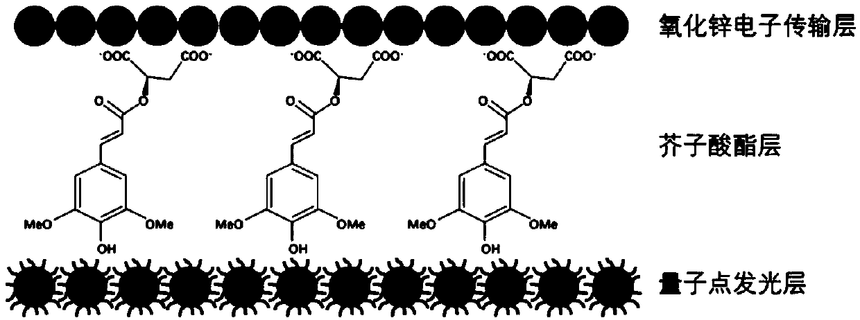 Quantum dot light emitting diode and preparation method thereof