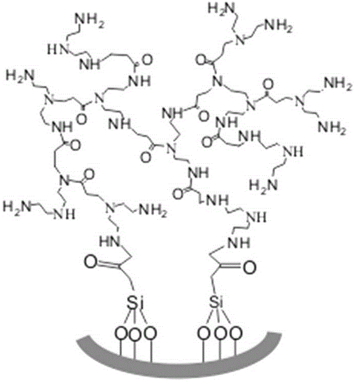 A kind of hyperbranched polymer functionalized mesoporous material and its application