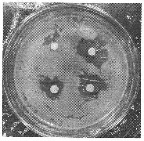 Livestock and poultry manure recycling method using plant enzyme technology as pilot