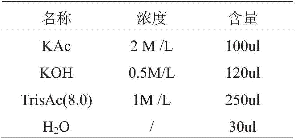 Reagent kit for quickly detecting nucleic acid of canine parvovirus