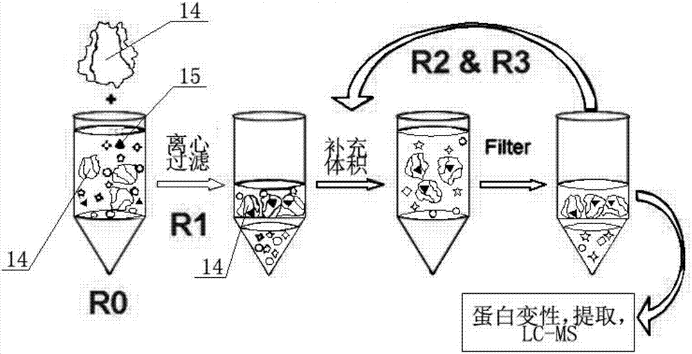 Applications of benzylidene barbiturate compound in serving as PCSK9 antagonist and reducing low-density lipoprotein