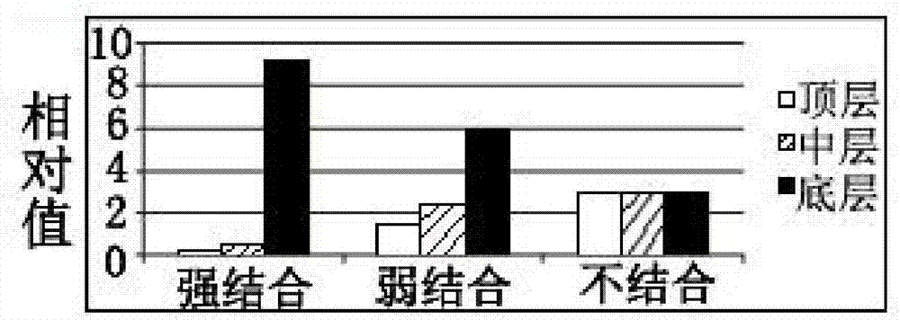 Applications of benzylidene barbiturate compound in serving as PCSK9 antagonist and reducing low-density lipoprotein