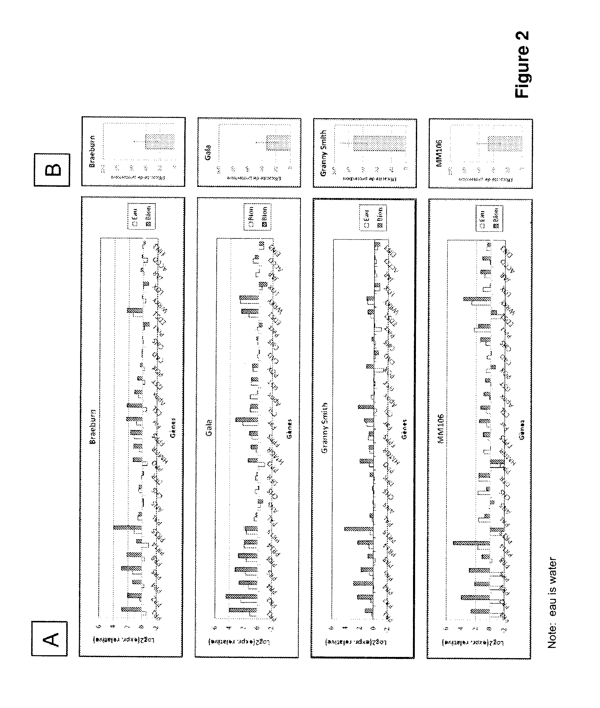 Device for Determining or Studying the State of Stimulation of the Natural Defences of Plants or Portions of Plants