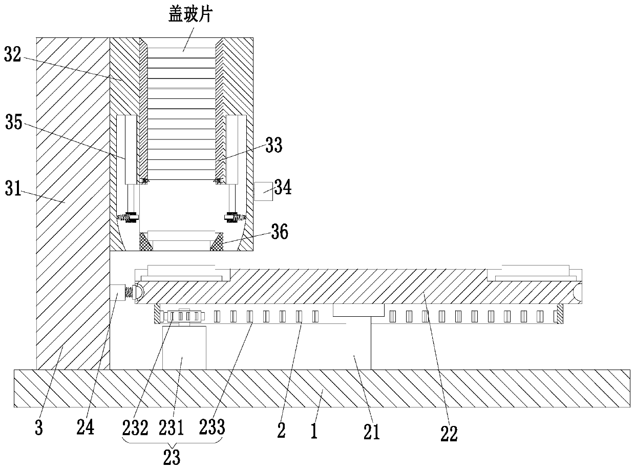 Chip mounting device for processing plant tissue slices serving as medical detection accessories