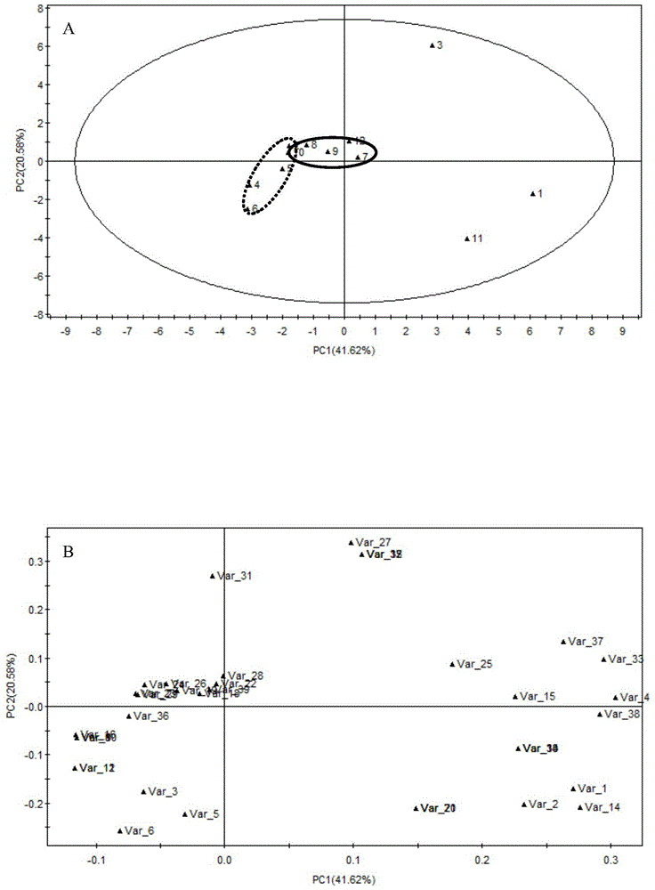 Judgment method for flavor quality of concentrated apple juice and application thereof