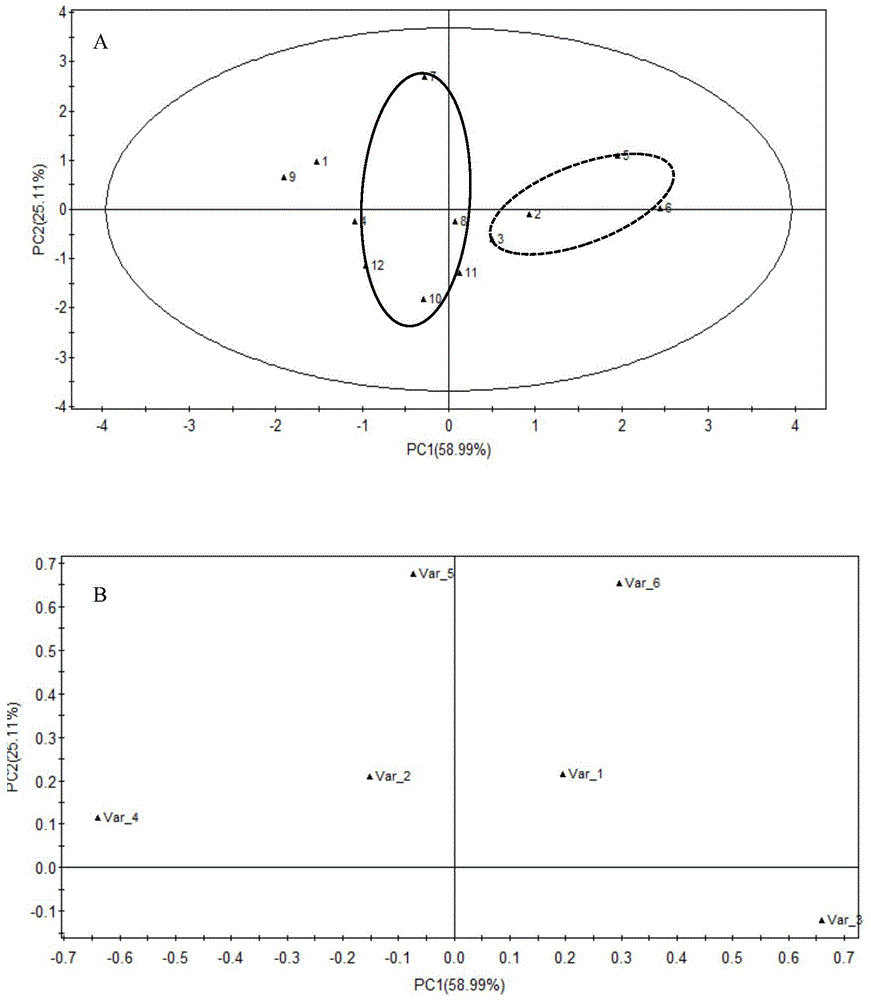 Judgment method for flavor quality of concentrated apple juice and application thereof