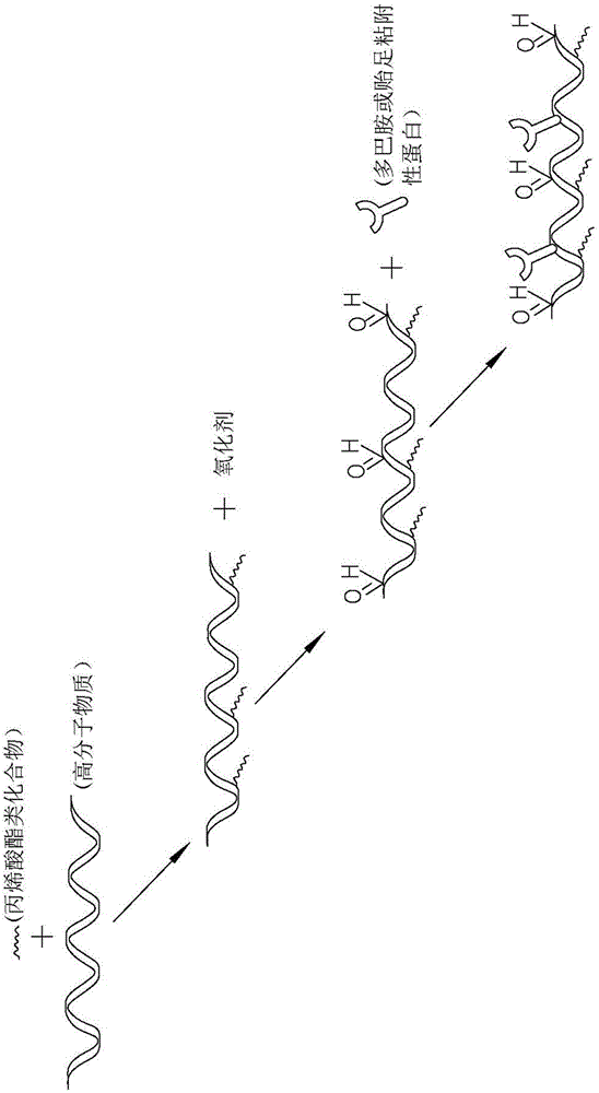 Bioadhesive and preparation method thereof