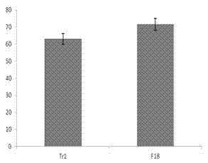 Biocontrol Trichoderma F18, and preparation method and application thereof