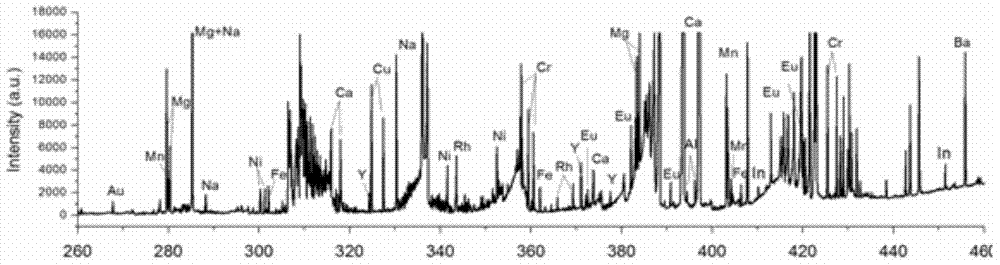 Matrix-assisted excitation spectrum detection system adopting plasma surface sample injection