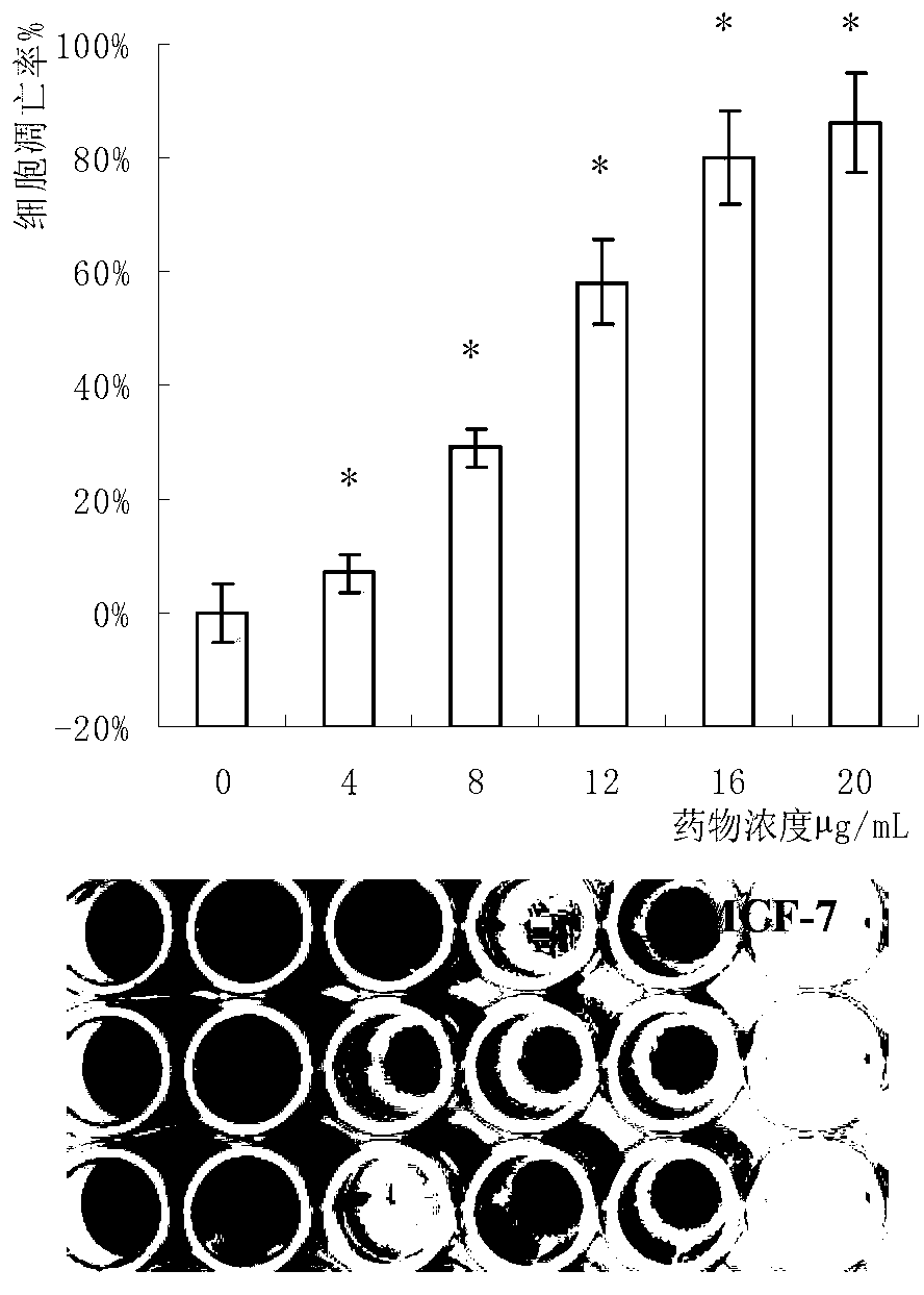 Pleurotus djamor protein extract and applications thereof for resisting tumor