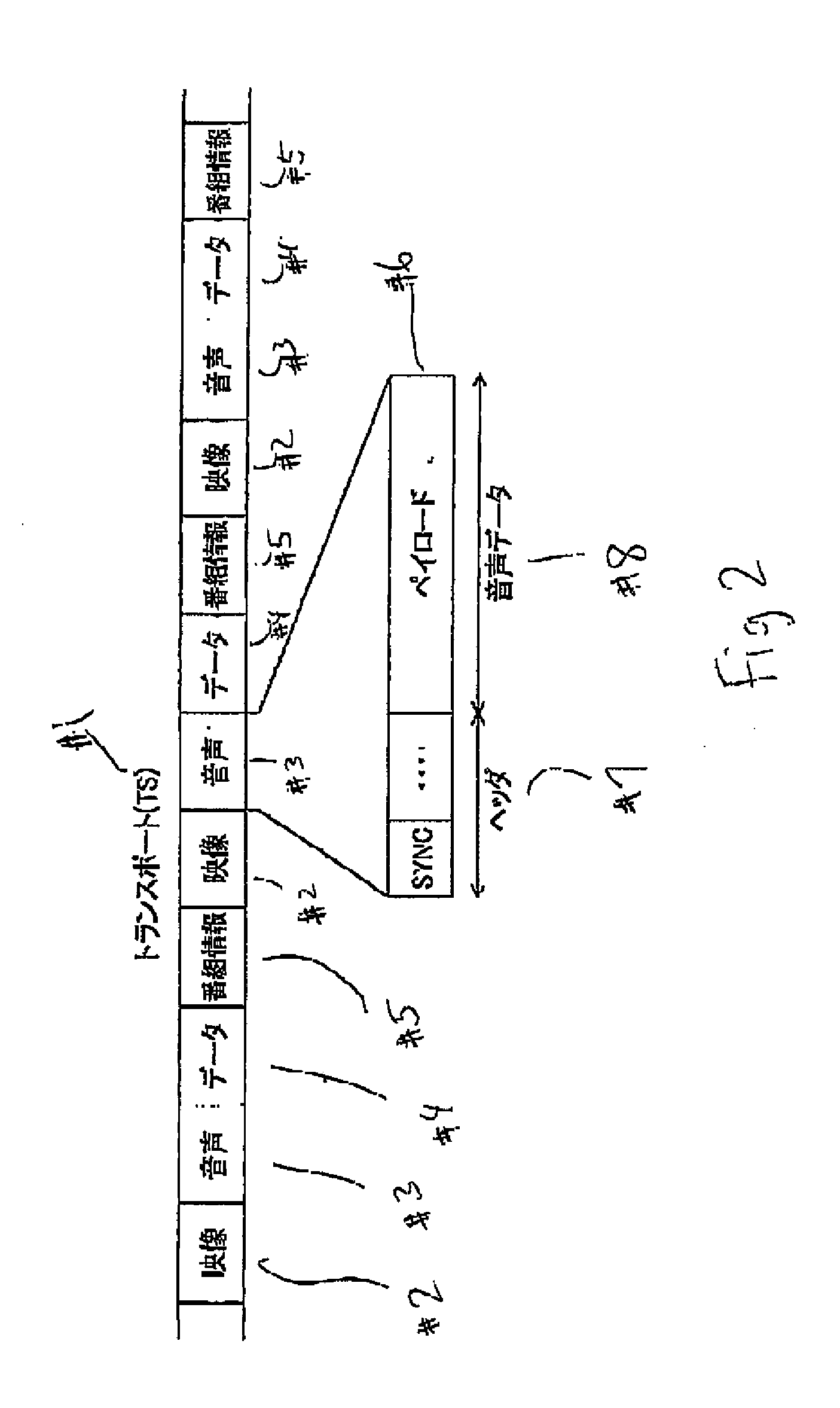 Digital Broadcast Receiving Apparatus