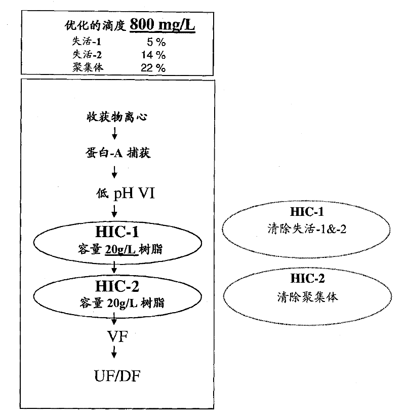 Purified immunoglobulin fusion proteins and methods of their purification