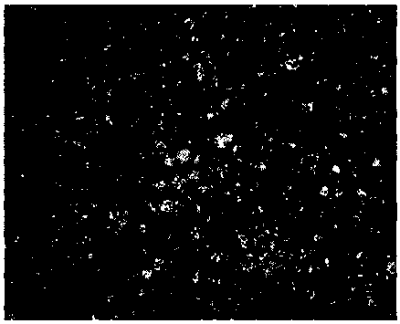 Cast glass sand and preparation method thereof