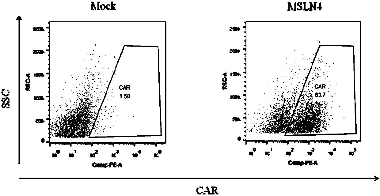 Chimeric antigen receptors carrying truncated or non-truncated natural cytotoxic receptor signaling structures and applications thereof