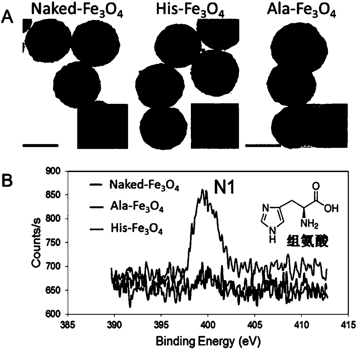 Method for optimizing activity of nano-enzyme particles