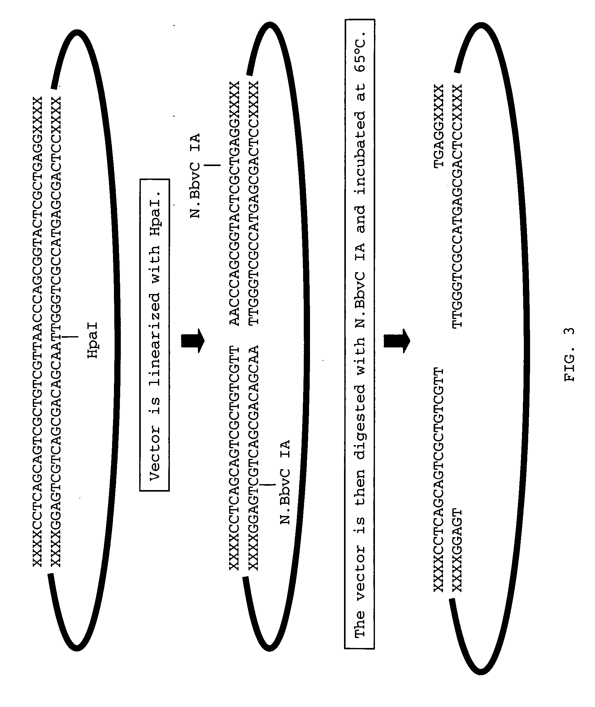 Methods for ligation independent cloning of DNA