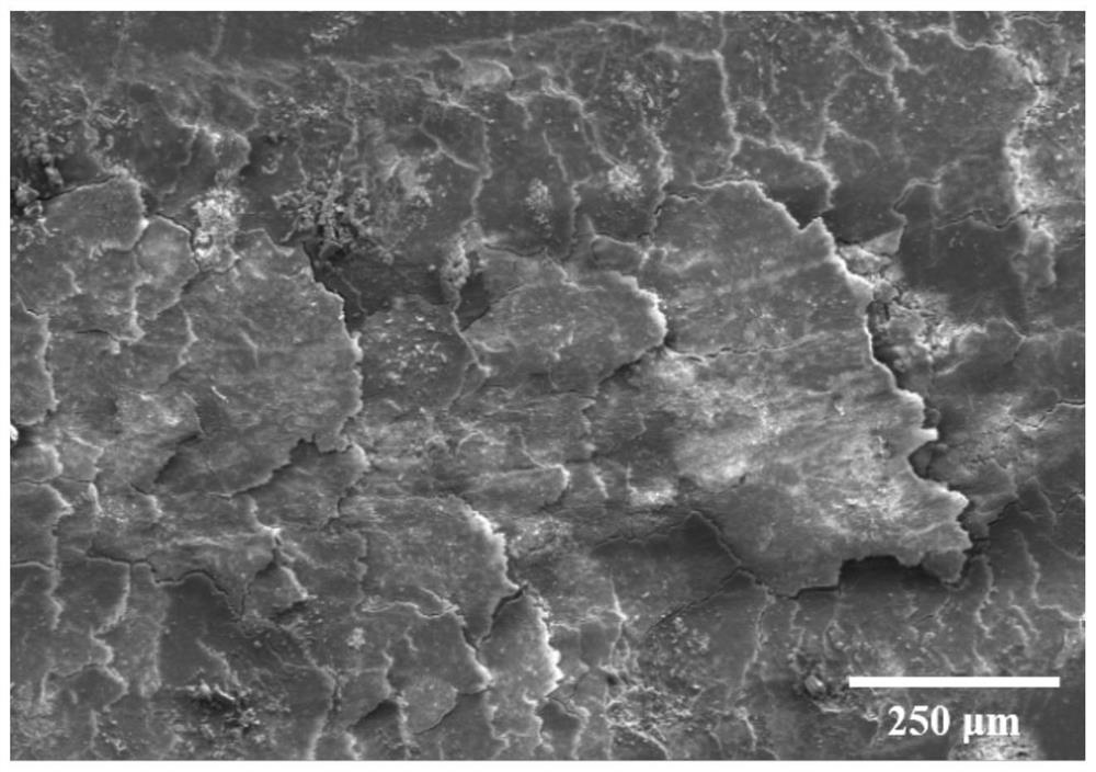 MXene reinforced silicate adhesive ceramic coating and preparation method thereof