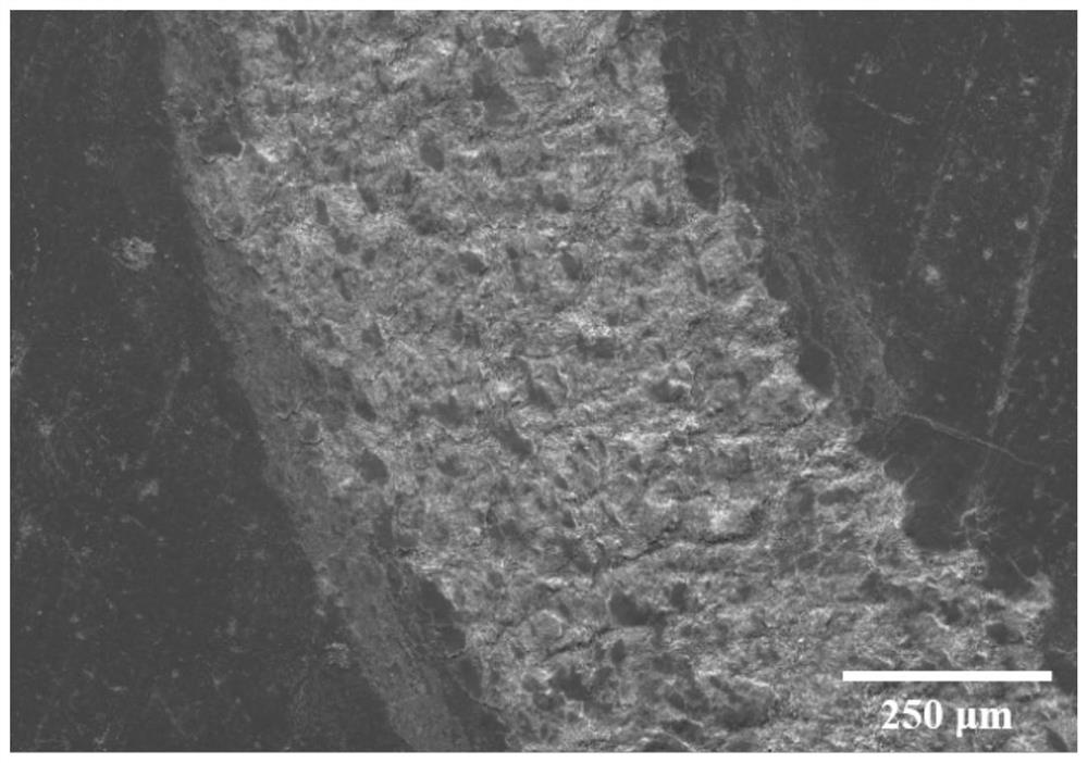 MXene reinforced silicate adhesive ceramic coating and preparation method thereof