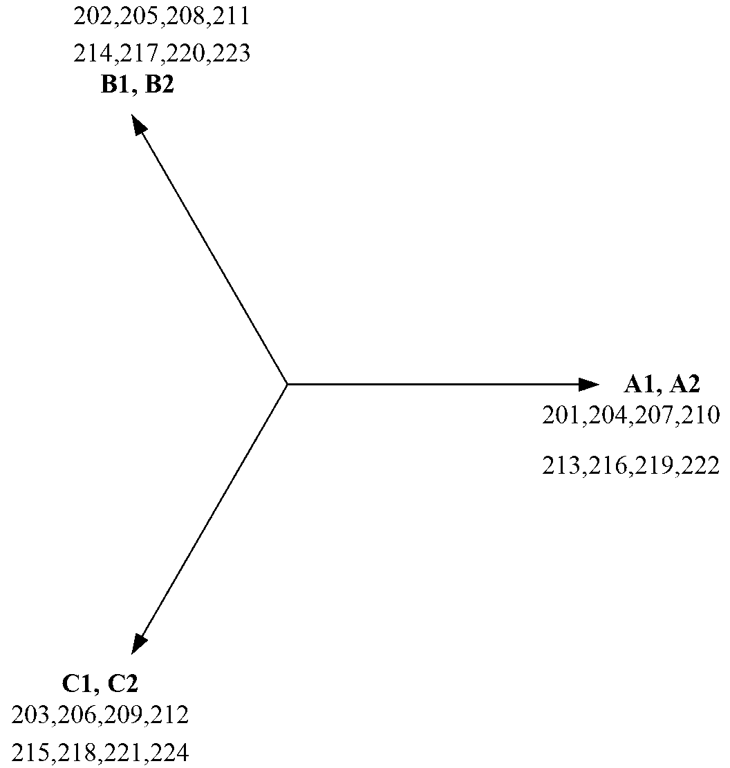 Six-phase flux switching type permanent magnet motor