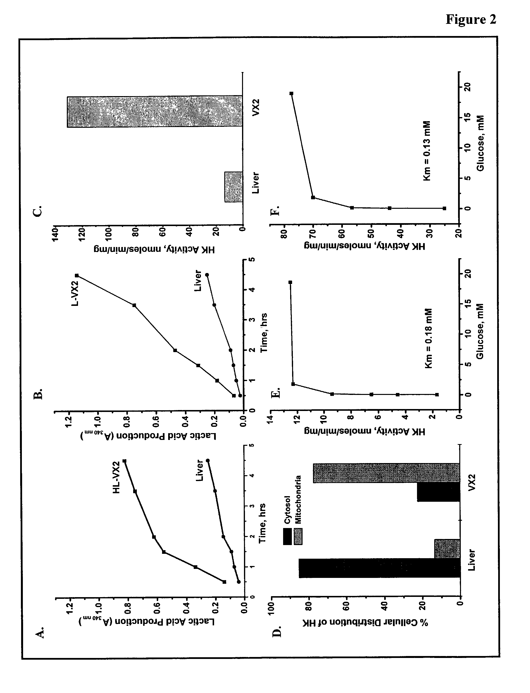 Therapeutics for cancer using 3-bromopyruvate and other selective inhibitors of ATP production