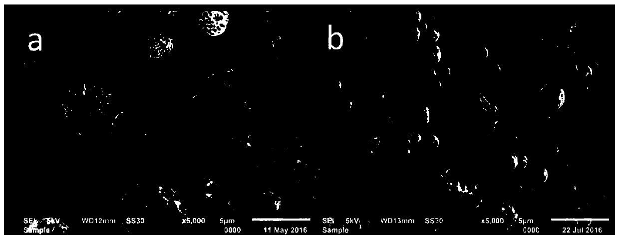 Preparation method of porous silicon carbon negative electrode applicable to lithium ion battery