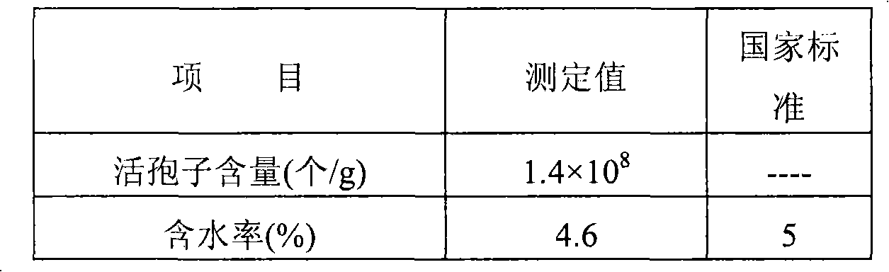 Bacillus spore and trichoderma chlamydospore compound preparation and preparation method and application thereof