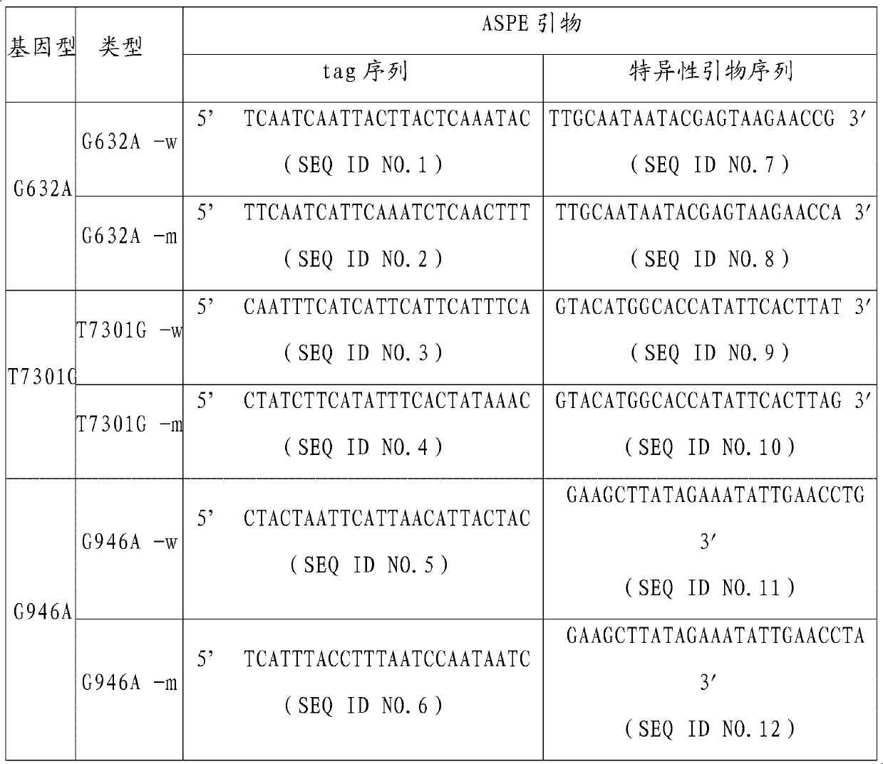 ATR (ataxia telangiectasia-mutated and Rad3-related) gene mutation detection specific primers and liquid chip