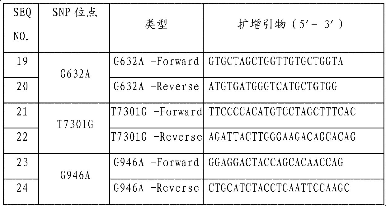 ATR (ataxia telangiectasia-mutated and Rad3-related) gene mutation detection specific primers and liquid chip