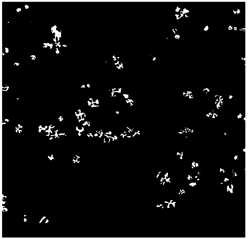 A kind of wear-resistant aluminum alloy and preparation method thereof