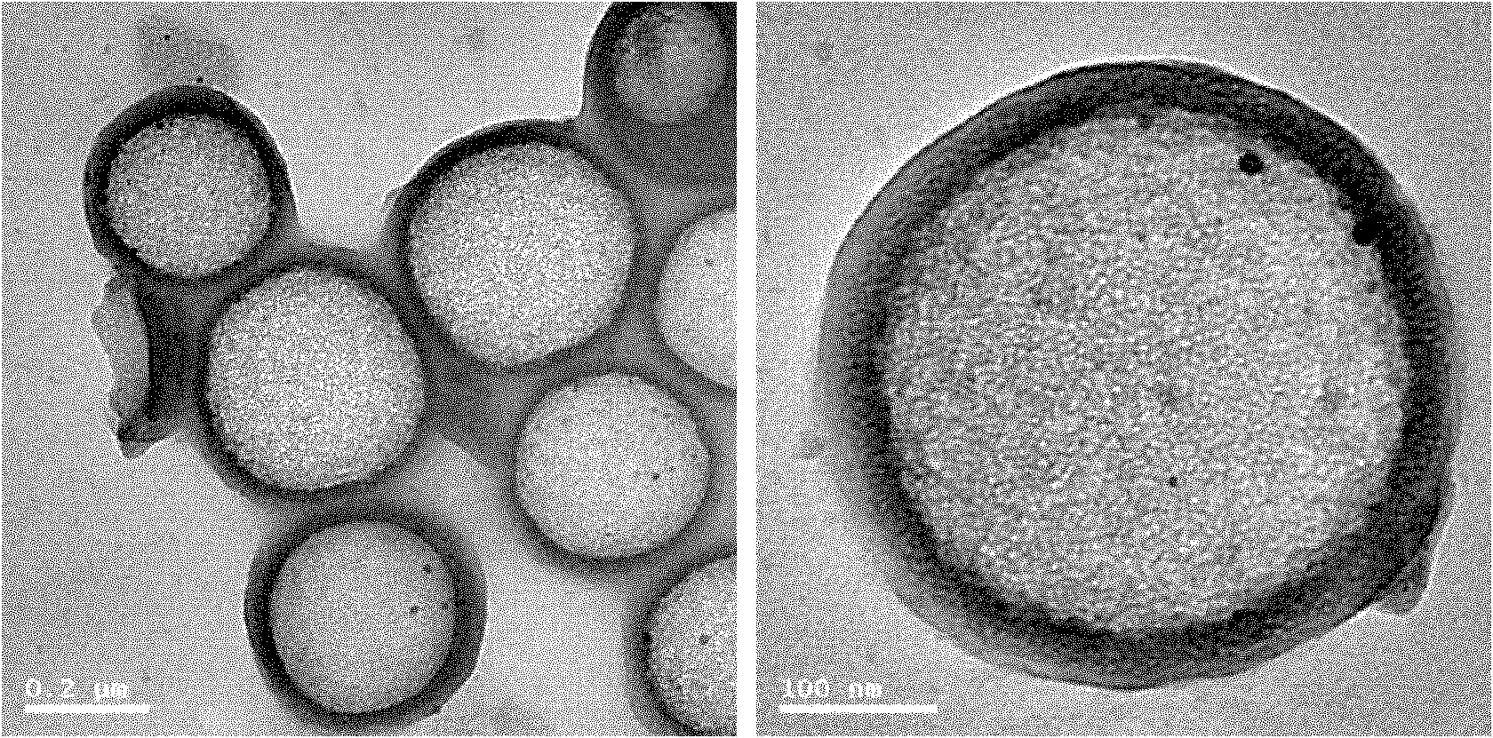 PCL-b-PEG-b-PCL carried hydrophobic medicine polymer vesica as well as preparation method and application thereof