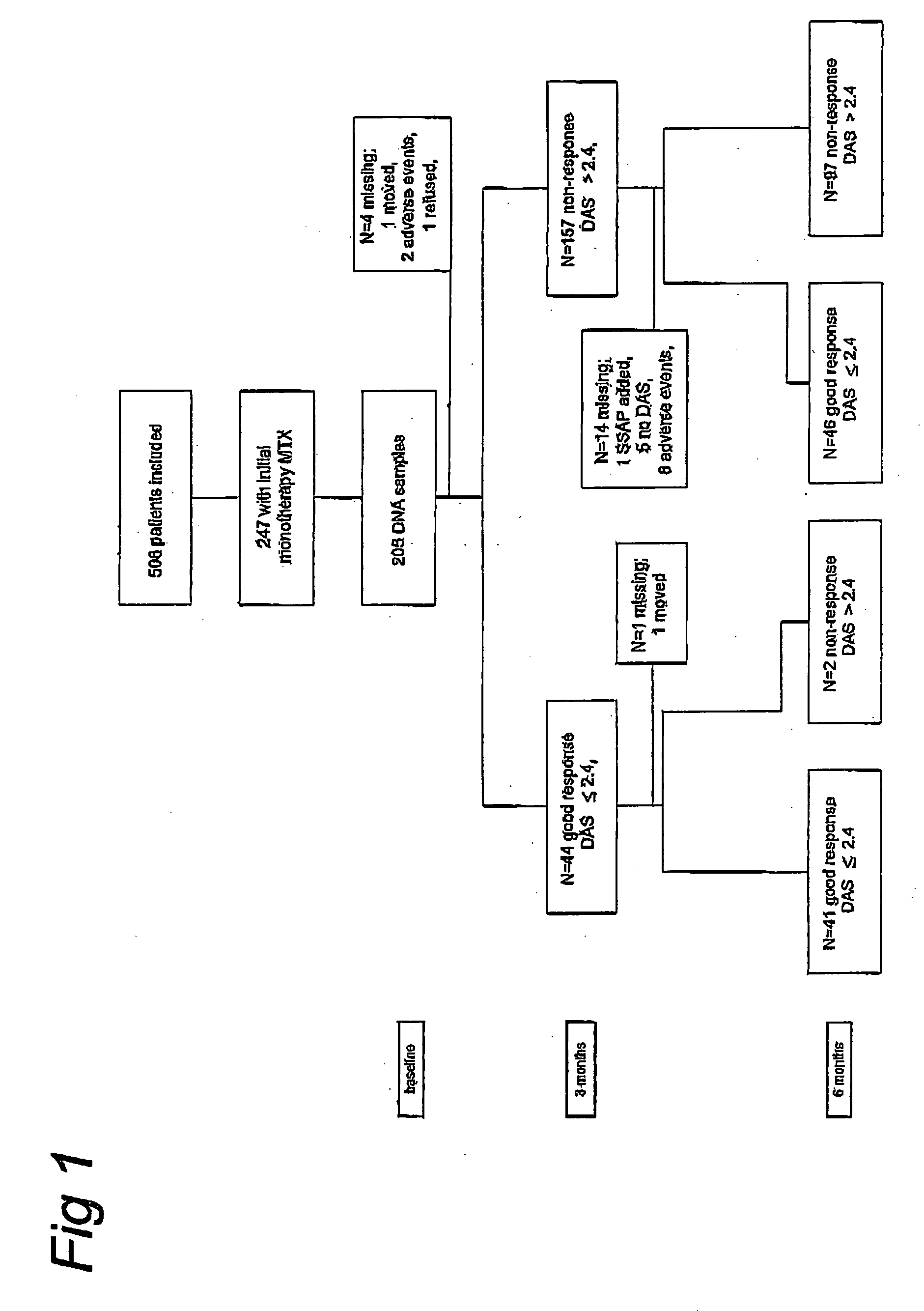 Genetic markers for prognosis of antifolate treatment efficacy