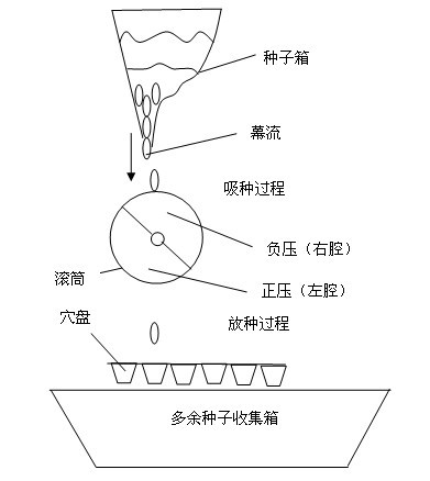 Precise seeds sowing device for growing seedlings of aperture disk