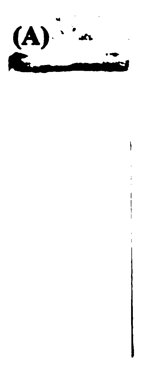 Silver/RGO (reduced graphene oxide) composite material prepared on basis of graphene oxide and preparation method of silver/RGO composite material