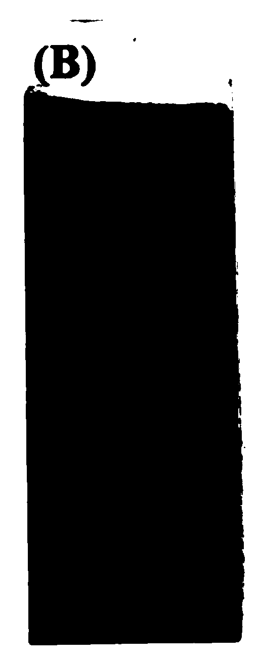 Silver/RGO (reduced graphene oxide) composite material prepared on basis of graphene oxide and preparation method of silver/RGO composite material