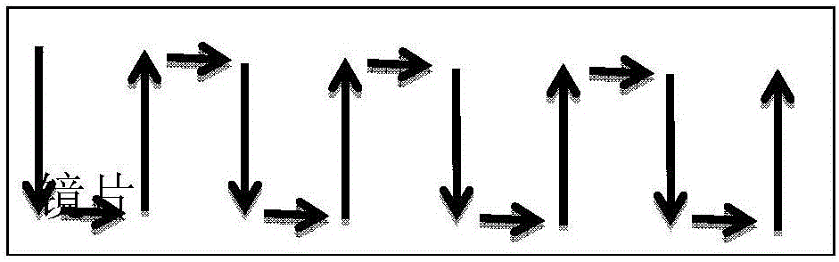 Silver mirror on-line detection device and detection method