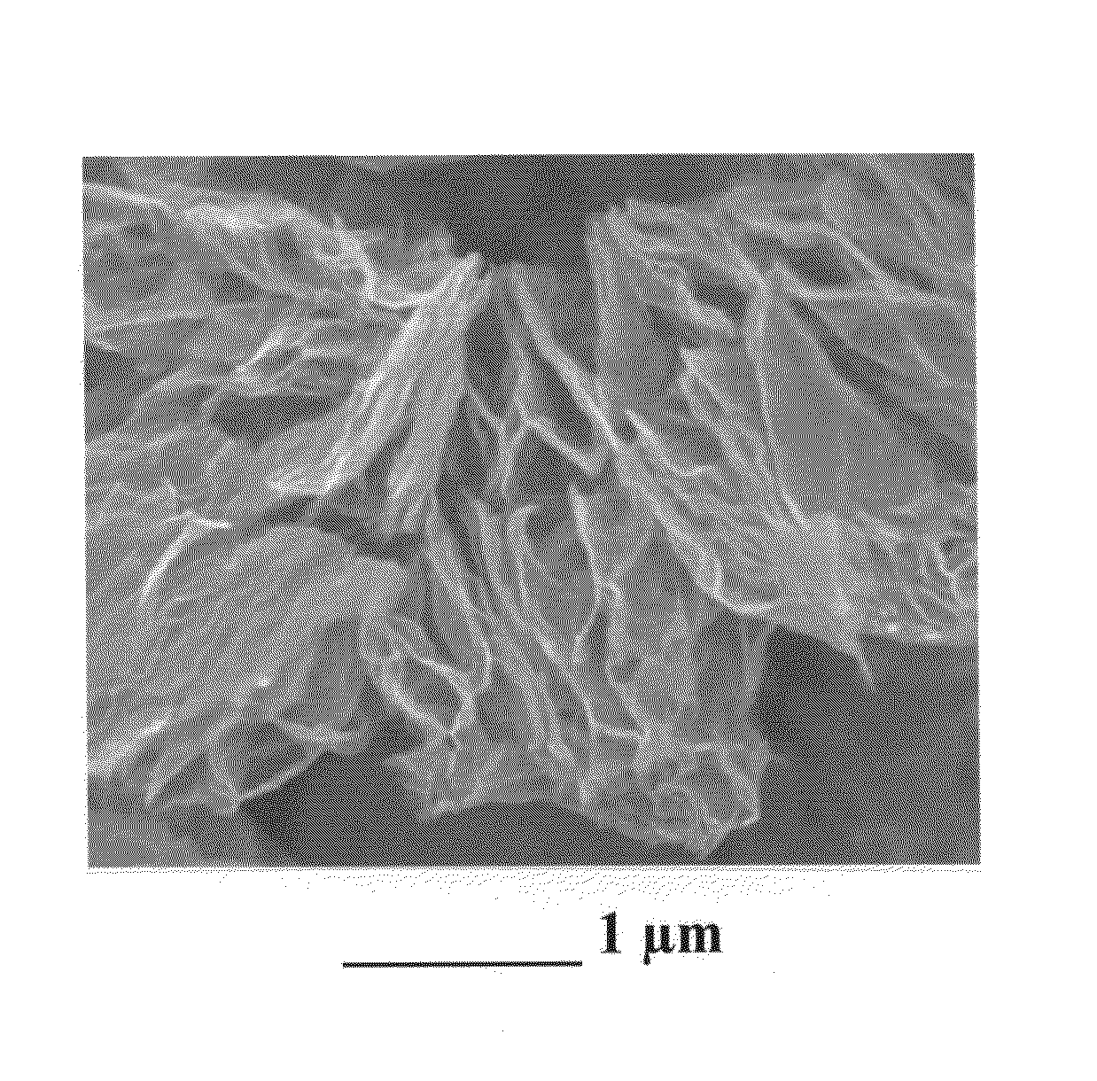 Supercritical fluid process for producing nano graphene platelets