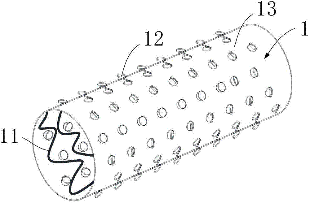 Check valve membrane coated stent