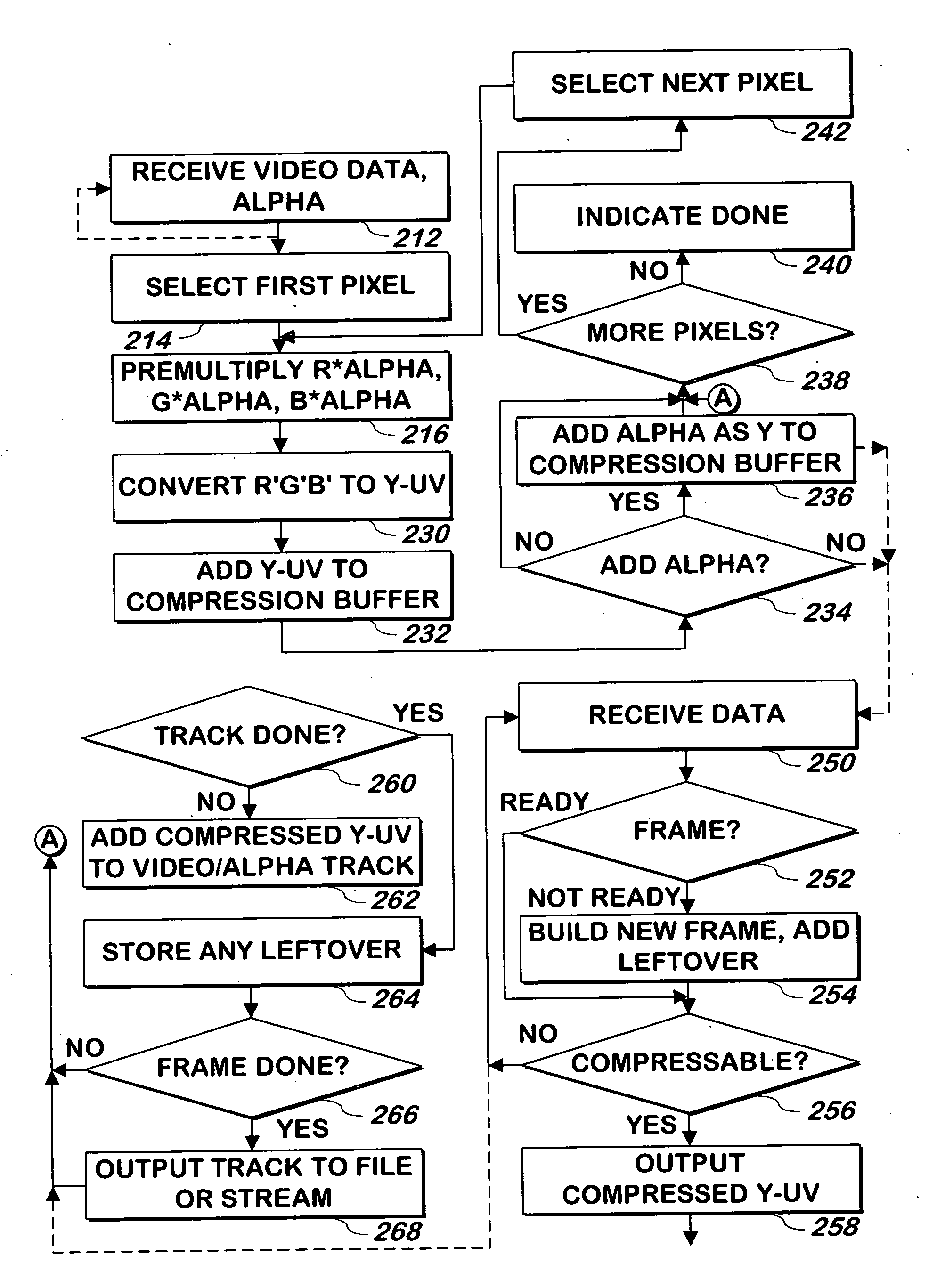 System and method for decompressing video data and alpha channel data using a single stream