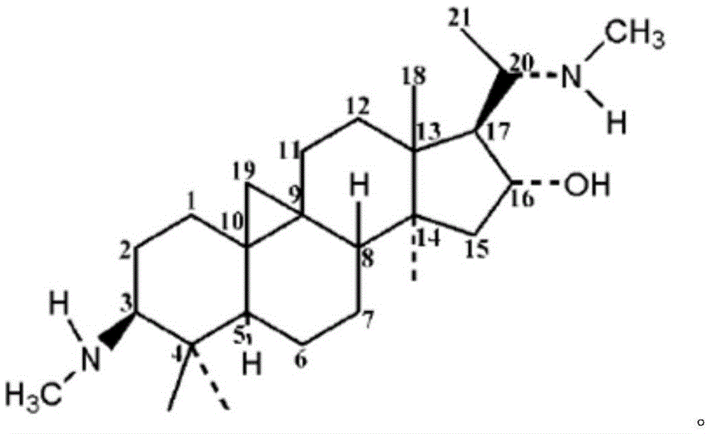 Huangyangning dispersible tablets and preparation method thereof