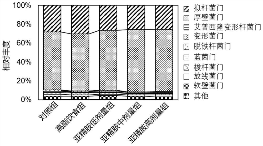 Application of spermidine in preparation of intestinal microecological regulator