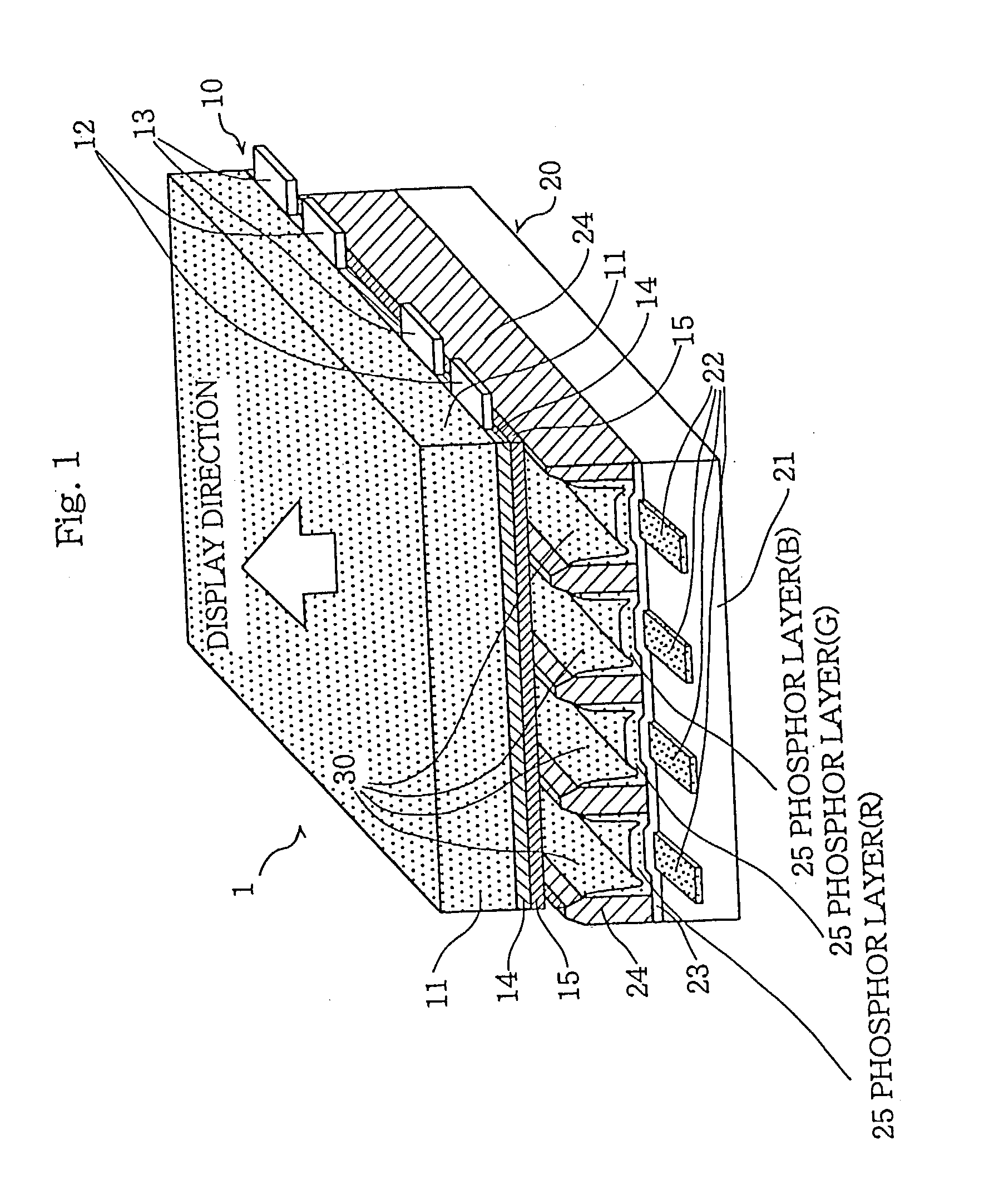 Plasma display panel and method for its manufacure