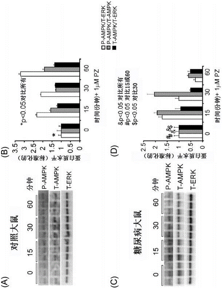 Methods and compositions for treatment of peripheral neuropathies