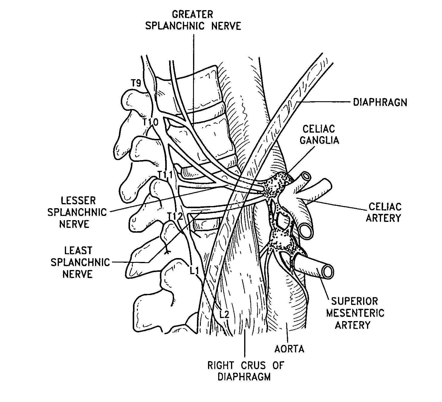 Dynamic nerve stimulation for treatment of disorders