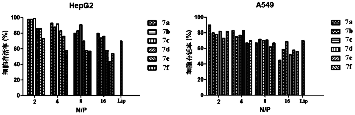 Cationic lipid containing macrocyclic polyamine [12]anen3, transgenic carrier and preparation method thereof