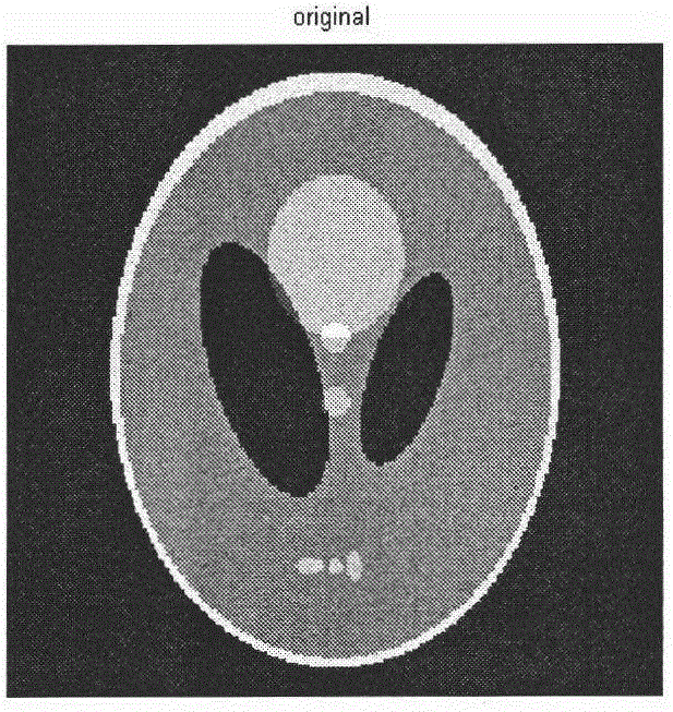 Parallel magnetic resonance imaging device and imaging method thereof