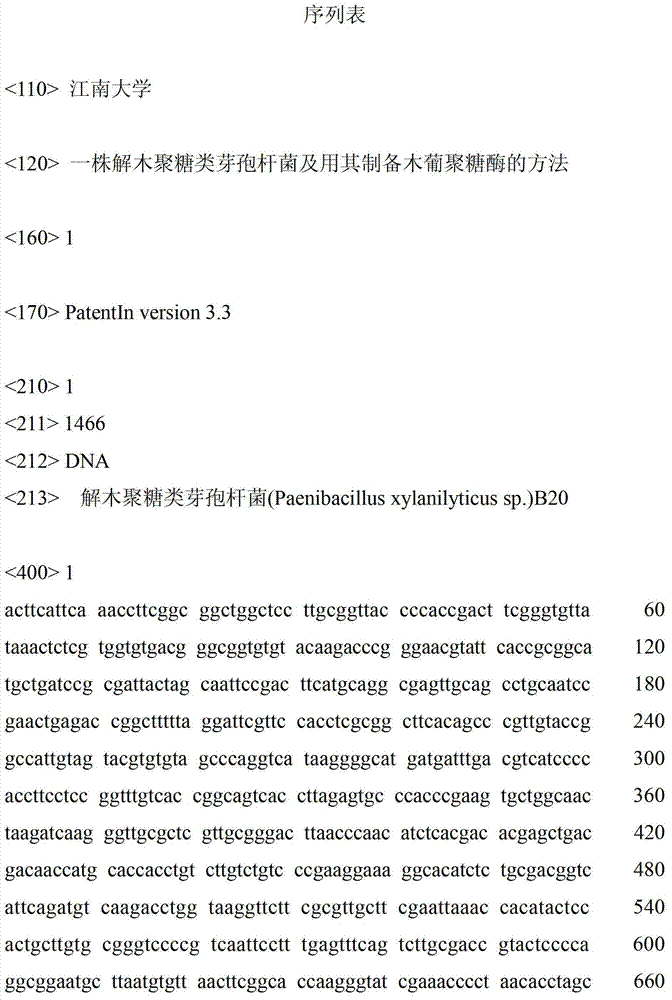 Paenibacillus xylanilyticus strain and method for preparing xyloglucanase by using same